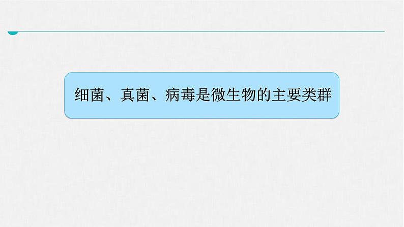 北师大版生物八年级上册第十八章《生物圈中的微生物》18.1  微生物在生物圈中的作用 教学PPT课件第2页