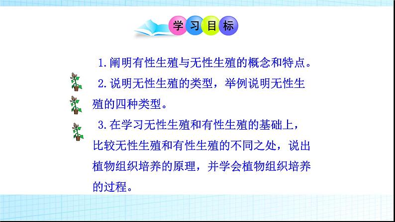 北师大版生物八年级上册第十九章《生命的延续》19.3  植物的生殖方式  教学PPT课件03