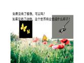 北师大版生物八年级上册第十七章《生物圈中的动物》17.1 动物在生物圈中的作用 教学PPT课件