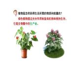 北师大版生物八年级上册第十七章《生物圈中的动物》17.1 动物在生物圈中的作用 教学PPT课件