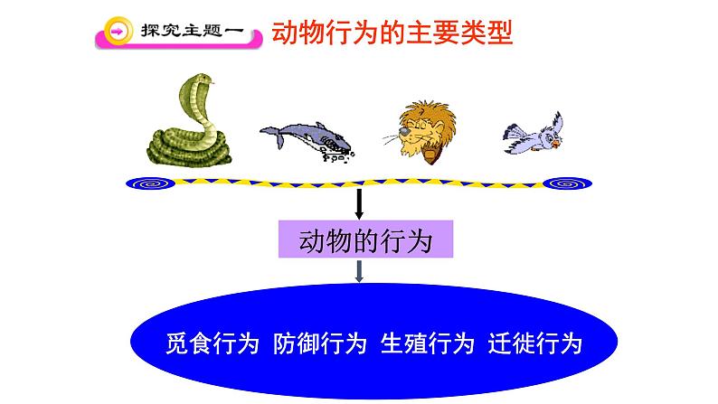 北师大版生物八年级上册第十六章《动物的行为》16.2 动物行为的主要类型 教学ppt课件05