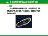 北师大版生物八年级上册第十六章《动物的行为》16.1 先天性行为和后天学习行为 教学ppt课件