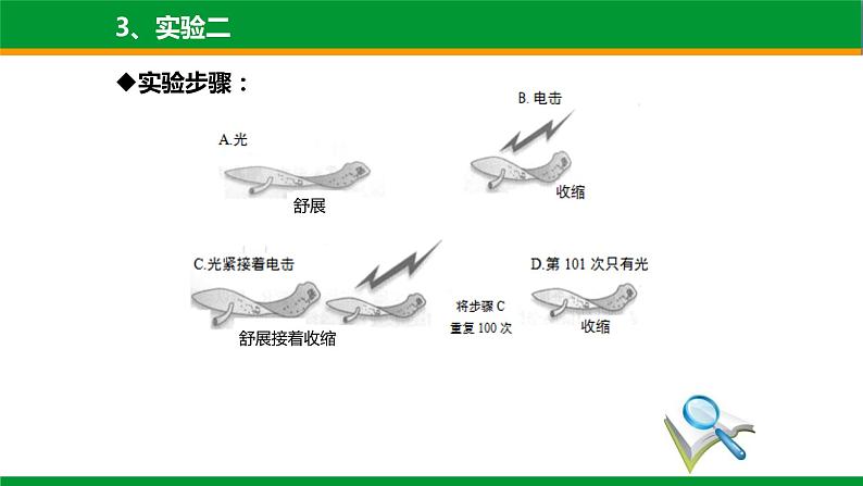 北师大版生物八年级上册第十六章《动物的行为》16.1 先天性行为和后天学习行为 教学ppt课件第8页