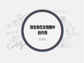 北师大版生物八年级上册第十八章《生物圈中的微生物》18.2微生物在生物圈中的作用 教学PPT课件