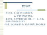 北师大版生物八年级上册第十九章《生命的延续》19.1 人的生殖和发育 教学PPT课件