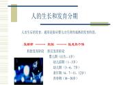北师大版生物八年级上册第十九章《生命的延续》19.1 人的生殖和发育 教学PPT课件