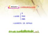 北师大版生物八年级上册第十五章《生物圈中的动物和微生物》15.2 动物运动的形成 教学ppt课件