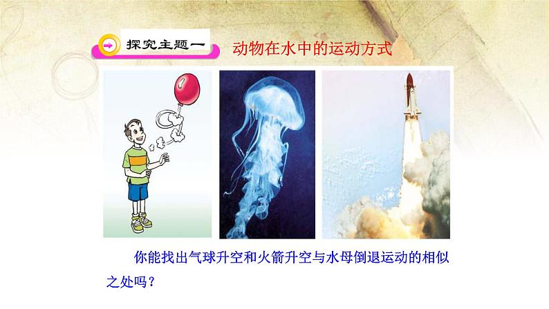 北师大版生物八年级上册第十五章《生物圈中的动物和微生物》15.1动物运动的方式 教学ppt课件06