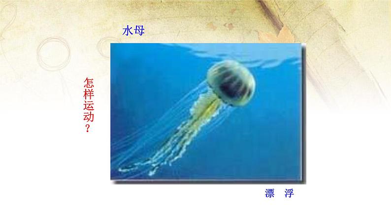 北师大版生物八年级上册第十五章《生物圈中的动物和微生物》15.1动物运动的方式 教学ppt课件07