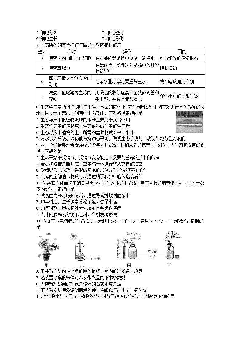 2021年山东省东营市中考生物真题及答案02