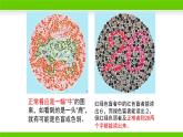 北师大版生物八年级上册第二十章《遗传和变异现象》20.6 遗传病和人类健康  教学PPT课件