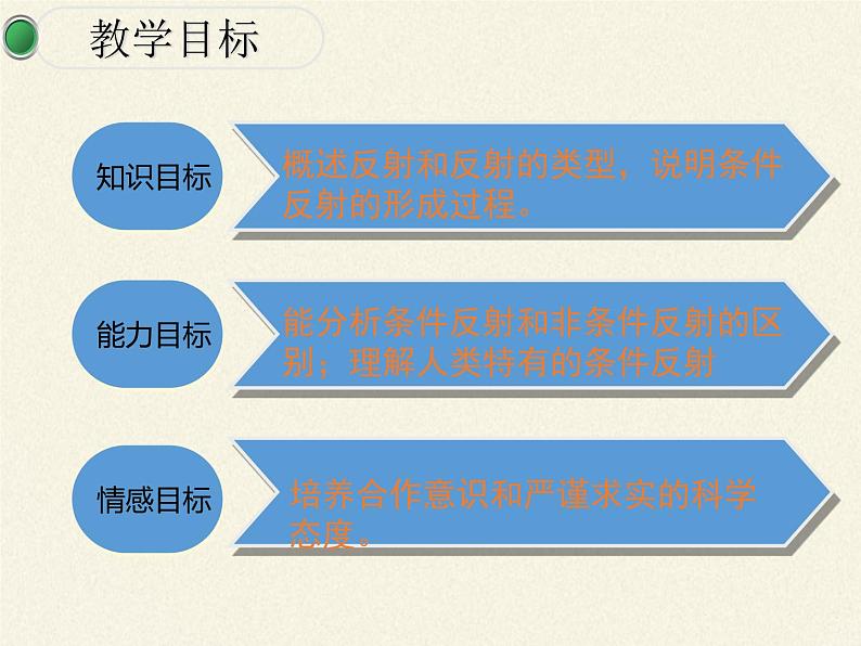 苏教版生物七年级下册 第十二章 第二节 人体的神经调节(4)（课件）04