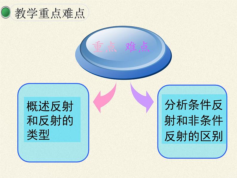 苏教版生物七年级下册 第十二章 第二节 人体的神经调节(4)（课件）05