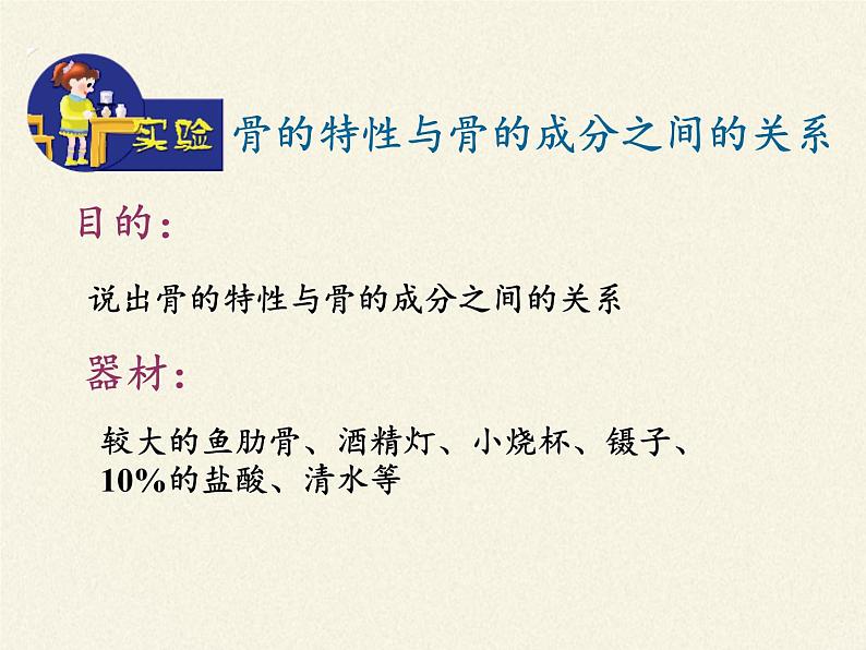 苏教版生物七年级下册 第八章 第三节 人体概述(3)（课件）06