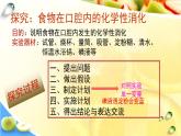 苏教版生物七年级下册 第九章 第二节 人体的消化与吸收（第二课时）（课件）