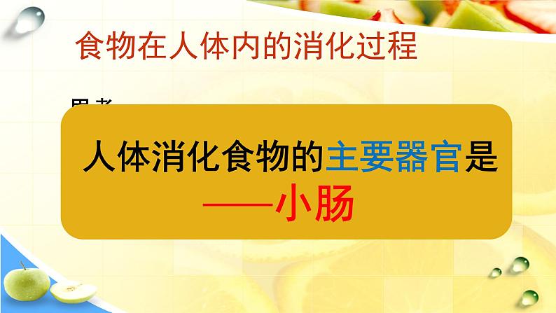 苏教版生物七年级下册 第九章 第二节 人体的消化与吸收（第二课时）（课件）第7页