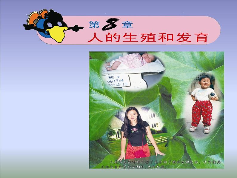 苏教版生物七年级下册 第八章 第一节 精卵结合孕育新的生命（课件）01