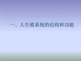 苏教版生物七年级下册 第八章 第一节 精卵结合孕育新的生命（课件）