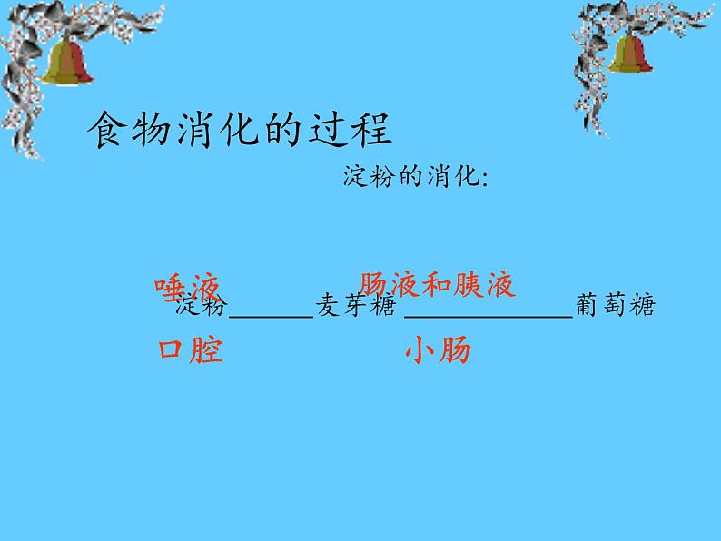 苏教版生物七年级下册 第九章 第二节 人体的消化与吸收(10)（课件）第5页