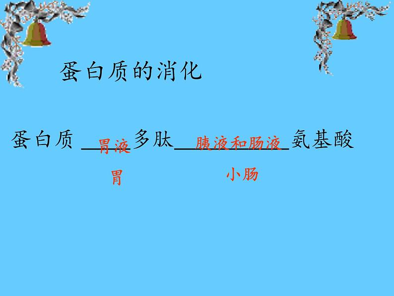 苏教版生物七年级下册 第九章 第二节 人体的消化与吸收(10)（课件）第6页