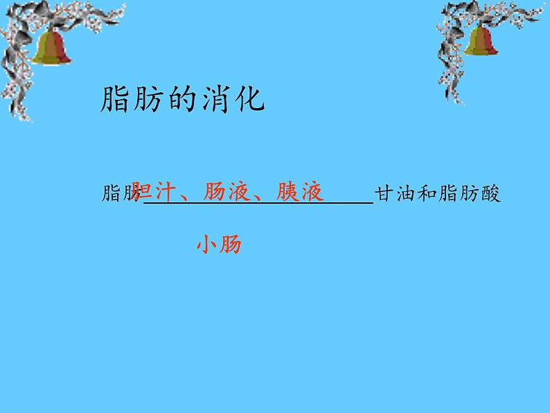 苏教版生物七年级下册 第九章 第二节 人体的消化与吸收(10)（课件）第7页