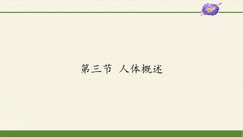 苏教版生物七年级下册 第八章 第三节 人体概述（课件）01