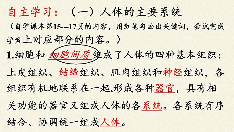 苏教版生物七年级下册 第八章 第三节 人体概述（课件）05