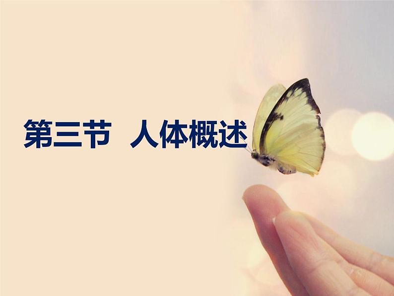 苏教版生物七年级下册 第八章 第三节 人体概述（课件）第1页