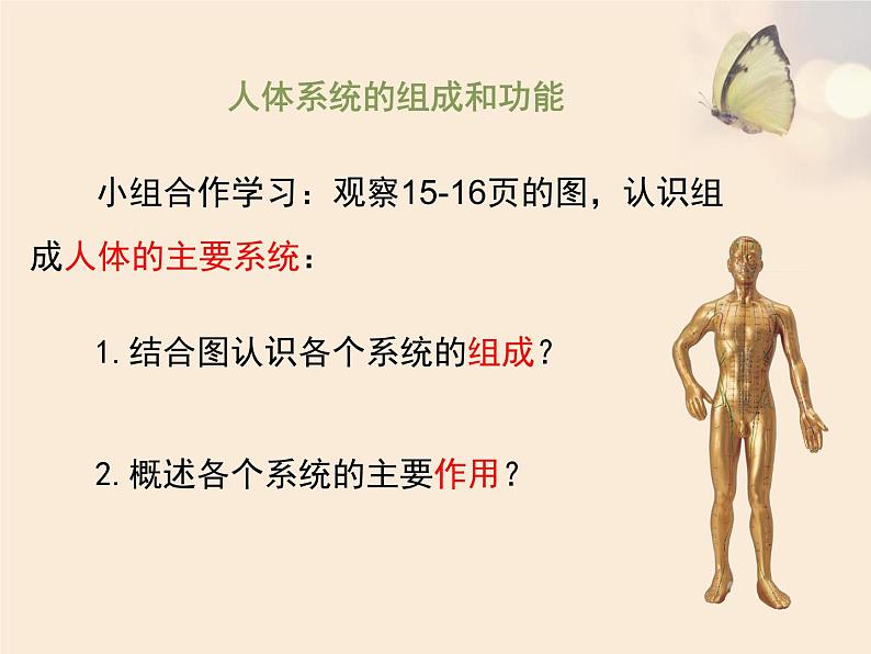 苏教版生物七年级下册 第八章 第三节 人体概述（课件）第3页