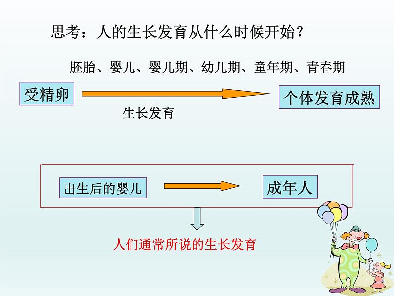 苏教版生物七年级下册 第八章 第二节 人的生长发育和青春期（课件）02