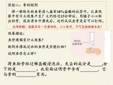 苏教版生物七年级下册 第八章 第三节 人体概述(5)（课件）