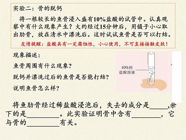 苏教版生物七年级下册 第八章 第三节 人体概述(5)（课件）第4页