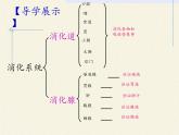 苏教版生物七年级下册 第九章 第二节 人体的消化与吸收（课件）