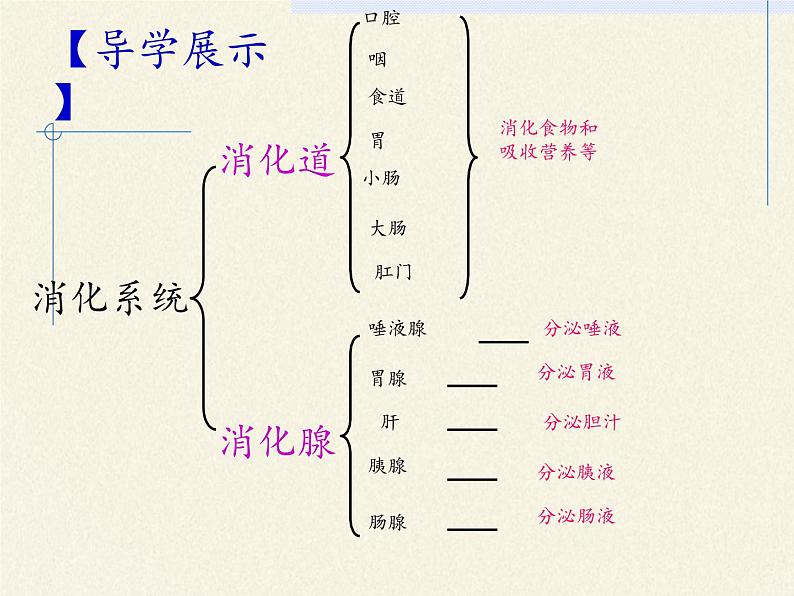 苏教版生物七年级下册 第九章 第二节 人体的消化与吸收（课件）第4页