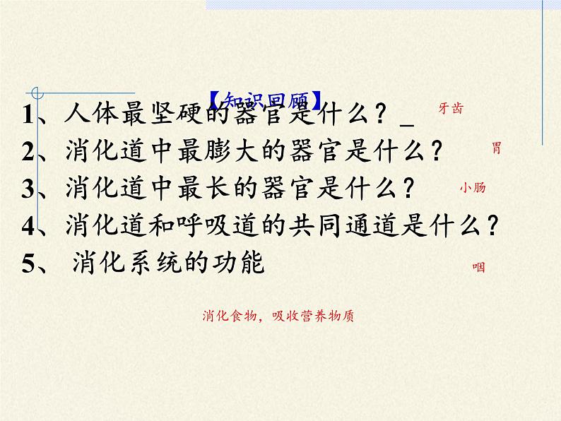 苏教版生物七年级下册 第九章 第二节 人体的消化与吸收(4)（课件）第2页