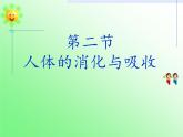 苏教版生物七年级下册 第九章 第二节 人体的消化与吸收(4)（课件）