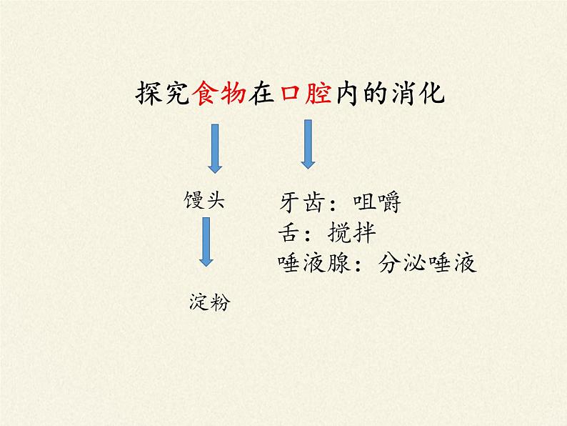 苏教版生物七年级下册 第九章 第二节 人体的消化与吸收(9)（课件）06