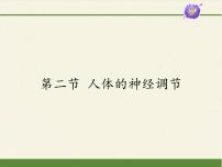 苏教版七年级下册第二节 人体的神经调节授课ppt课件