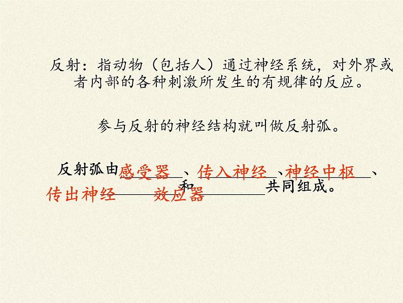 苏教版生物七年级下册 第十二章 第二节 人体的神经调节(5)（课件）04