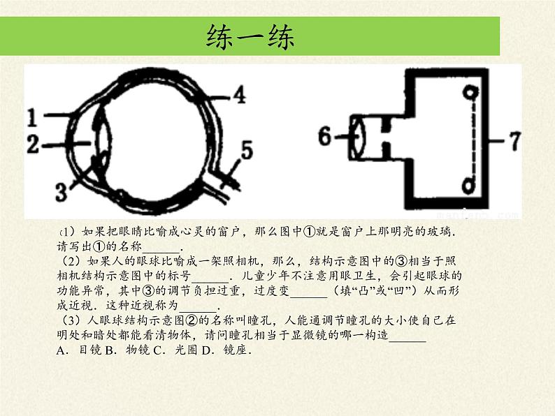 苏教版生物七年级下册 第十二章 第三节 人体感知信息(3)（课件）第7页