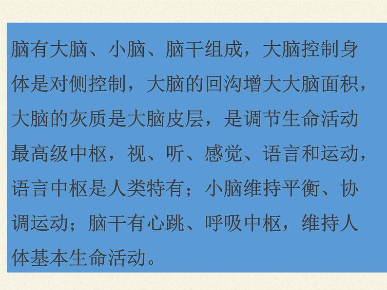 苏教版生物七年级下册 第十二章 第二节 人体的神经调节(6)（课件）02