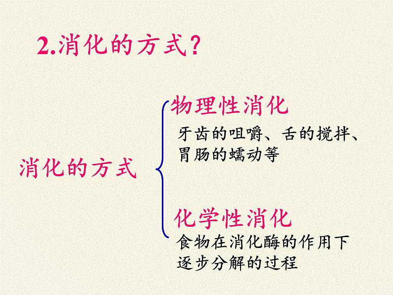 苏教版生物七年级下册 第九章 第二节 人体的消化与吸收(12)（课件）05