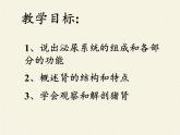 苏教版生物七年级下册 第十二章 第一节 人体的激素调节(18)（课件）