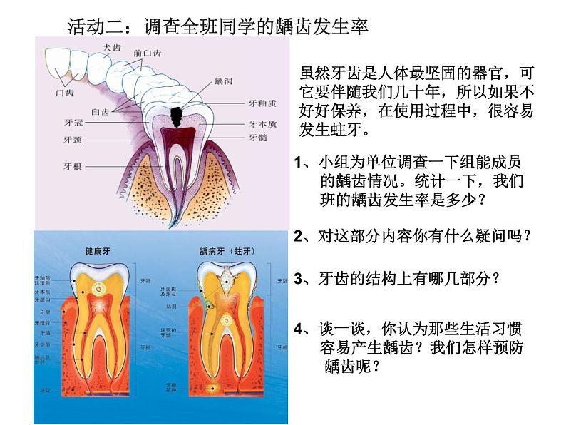 苏教版生物七年级下册 第九章 第二节 人体的消化与吸收（课件）第8页