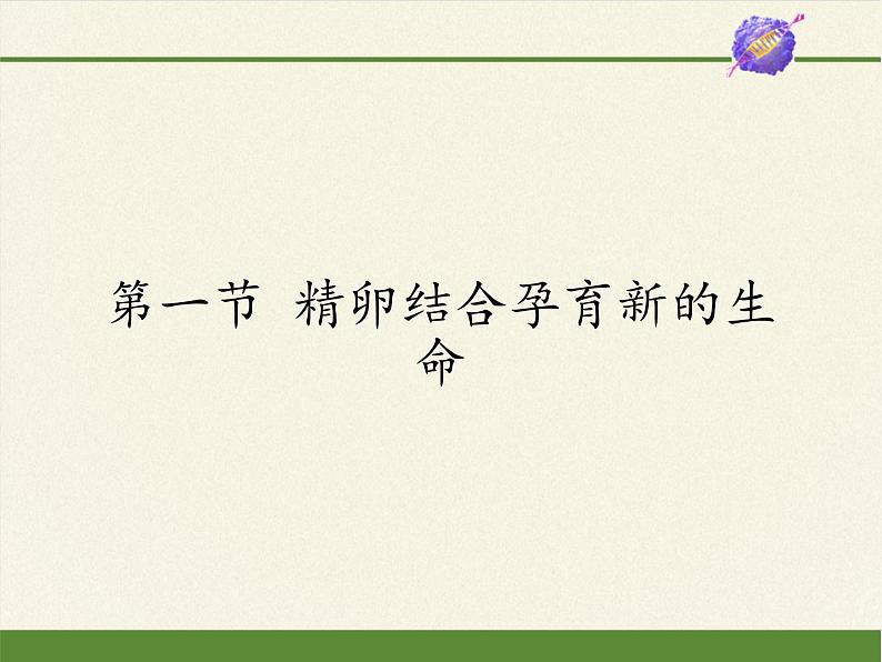 苏教版生物七年级下册 第八章 第一节 精卵结合孕育新的生命（课件）01