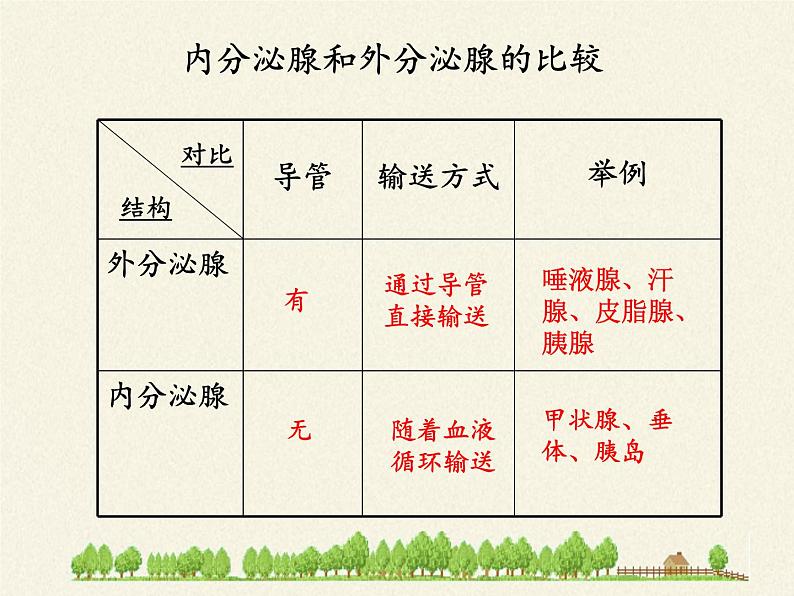 苏教版生物七年级下册 第十二章 第一节 人体的激素调节(6)（课件）第8页