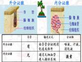 苏教版生物七年级下册 第十二章 第一节 人体的激素调节(3)（课件）