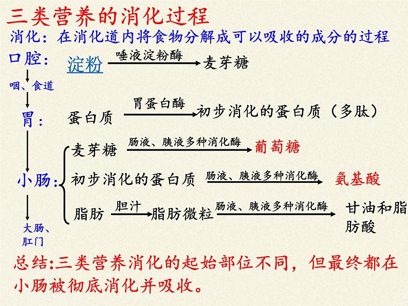 苏教版生物七年级下册 第九章 第一节 人体需要的主要营养物质（课件）第8页