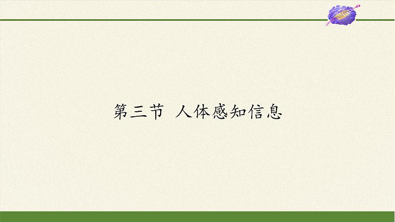 苏教版生物七年级下册 第十二章 第三节 人体感知信息(5)（课件）第1页