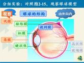 苏教版生物七年级下册 第十二章 第三节 人体感知信息（课件）